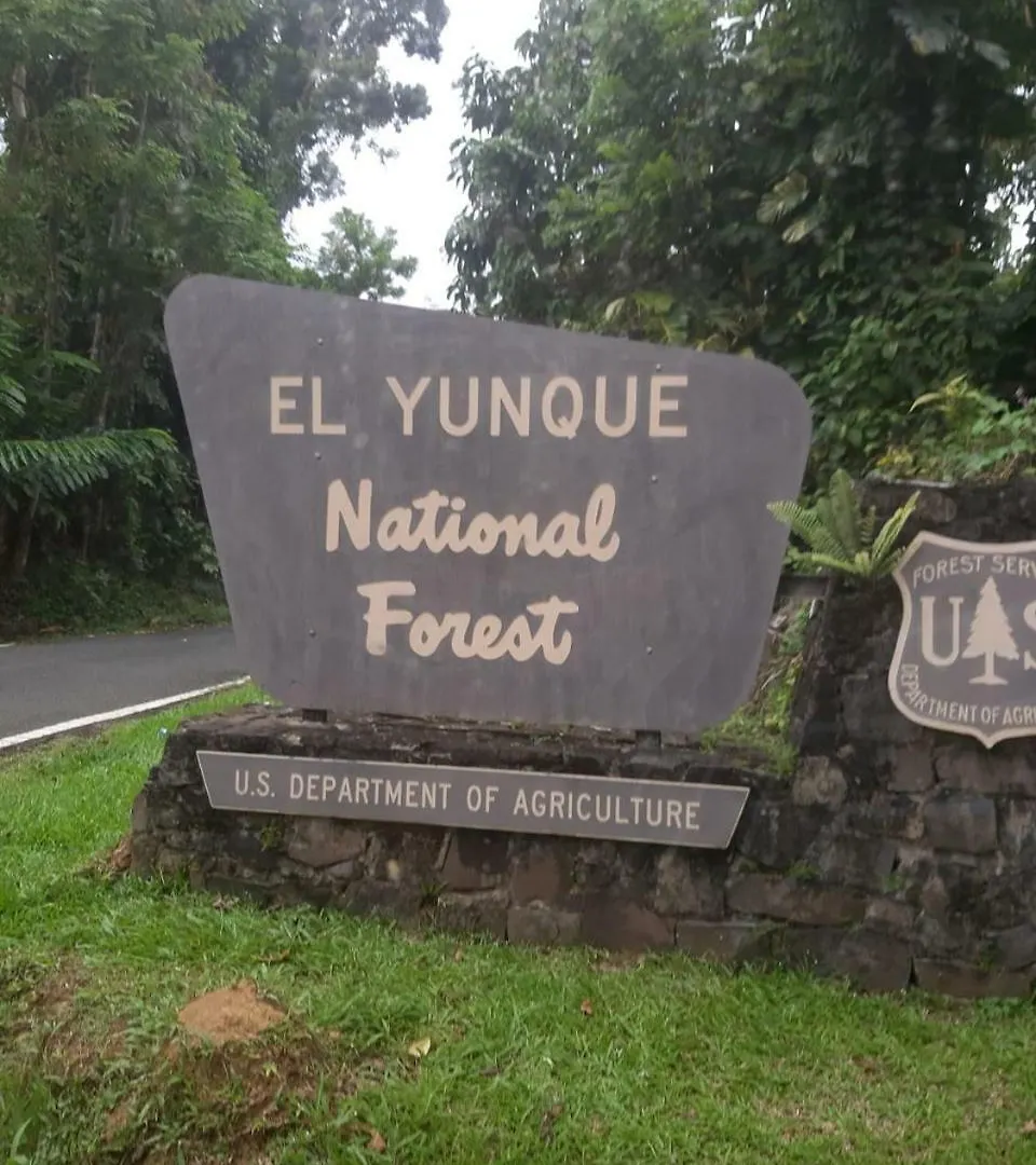 Hacienda Mirador Ostello Luquillo