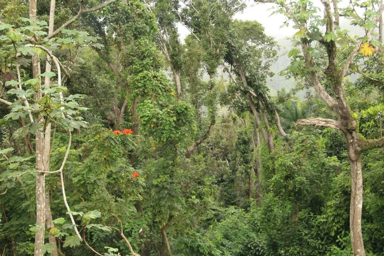 Albergue A Pousada Hacienda Mirador Luquillo
